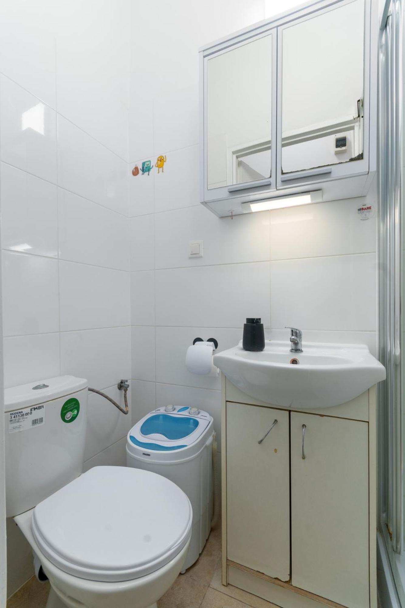 Apartament Standard With Mezzanine *